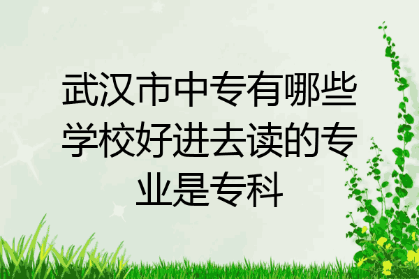武汉市中专有哪些学校好进去读的专业是专科