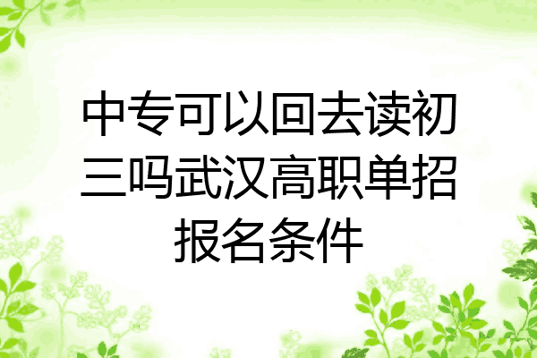 中专可以回去读初三吗武汉高职单招报名条件