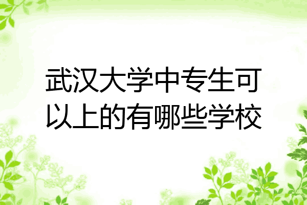 武汉大学中专生可以上的有哪些学校