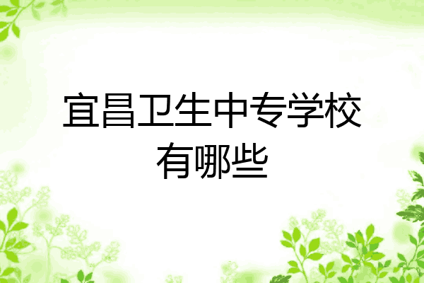 宜昌卫生中专学校有哪些