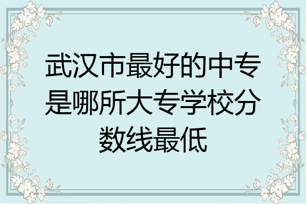 武汉市最好的中专是哪所大专学校分数线最低