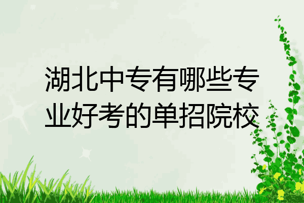 湖北中专有哪些专业好考的单招院校