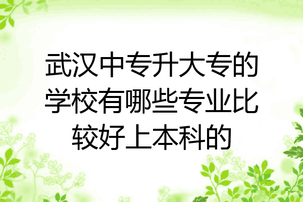 武汉中专升大专的学校有哪些专业比较好上本科的