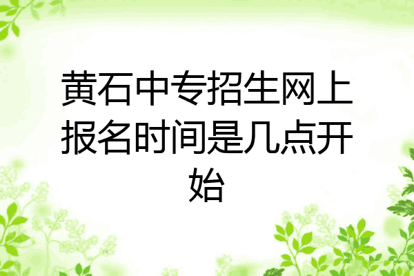 黄石中专招生网上报名时间是几点开始