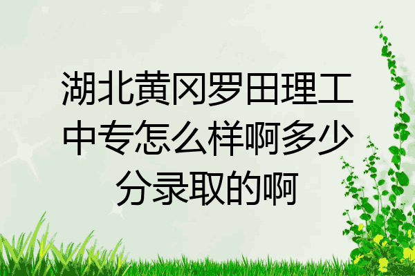 湖北黄冈罗田理工中专怎么样啊多少分录取的啊