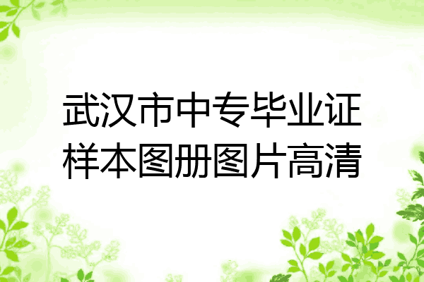 武汉市中专毕业证样本图册图片高清