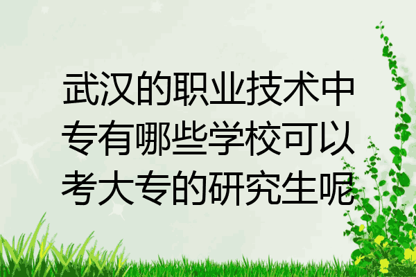 武汉的职业技术中专有哪些学校可以考大专的研究生呢
