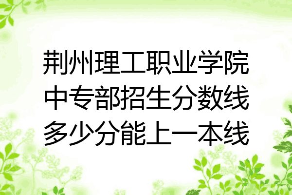 荆州理工职业学院中专部招生分数线多少分能上一本线