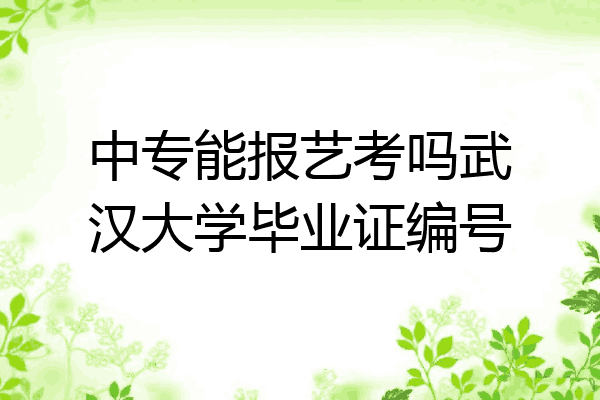 中专能报艺考吗武汉大学毕业证编号
