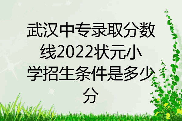 武汉中专录取分数线2022状元小学招生条件是多少分