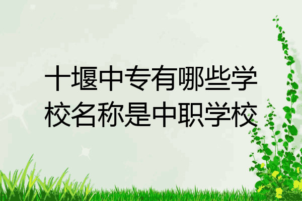 十堰中专有哪些学校名称是中职学校