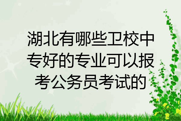 湖北有哪些卫校中专好的专业可以报考公务员考试的