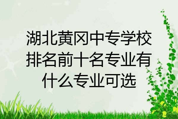 湖北黄冈中专学校排名前十名专业有什么专业可选