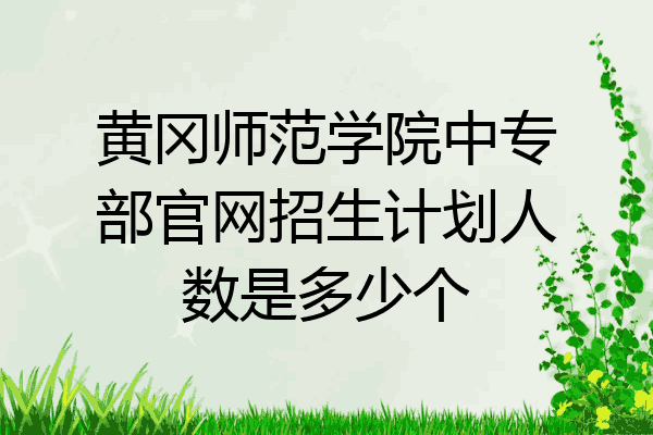 黄冈师范学院中专部官网招生计划人数是多少个