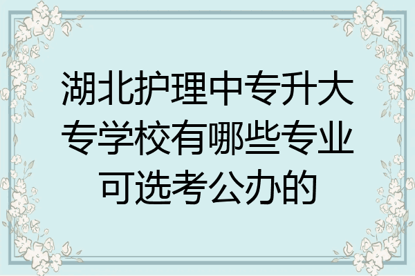 湖北护理中专升大专学校有哪些专业可选考公办的