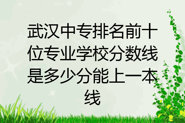 武汉中专排名前十位专业学校分数线是多少分能上一本线