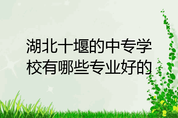 湖北十堰的中专学校有哪些专业好的