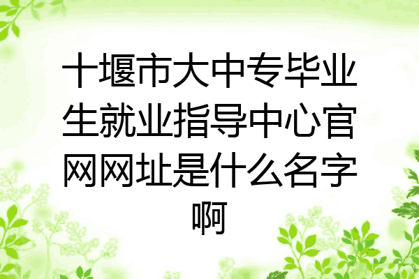 十堰市大中专毕业生就业指导中心官网网址是什么名字啊