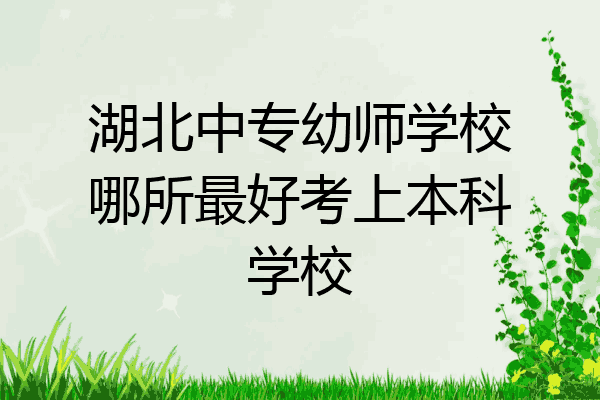 湖北中专幼师学校哪所最好考上本科学校