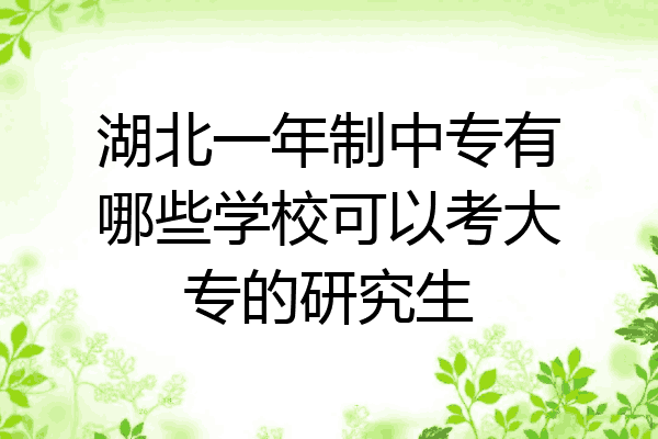 湖北一年制中专有哪些学校可以考大专的研究生