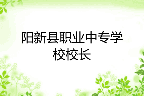 阳新县职业中专学校校长