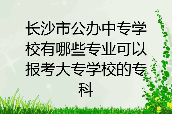 长沙市公办中专学校有哪些专业可以报考大专学校的专科
