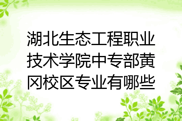 湖北生态工程职业技术学院中专部黄冈校区专业有哪些