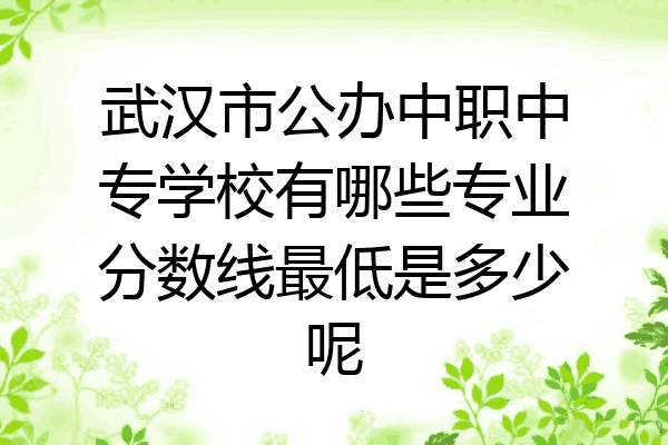武汉市公办中职中专学校有哪些专业分数线最低是多少呢
