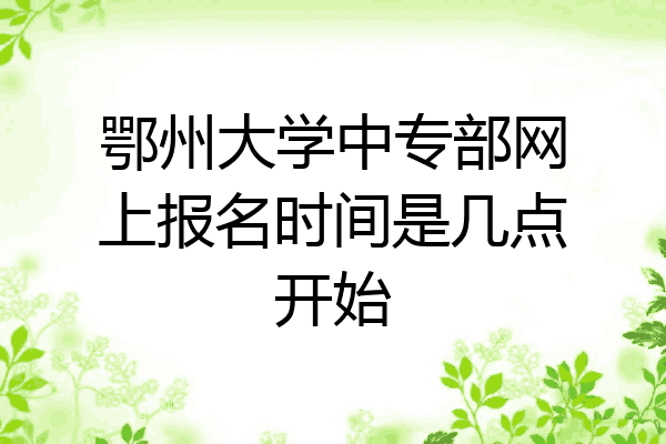 鄂州大学中专部网上报名时间是几点开始
