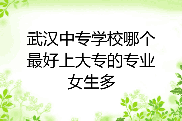 武汉中专学校哪个最好上大专的专业女生多