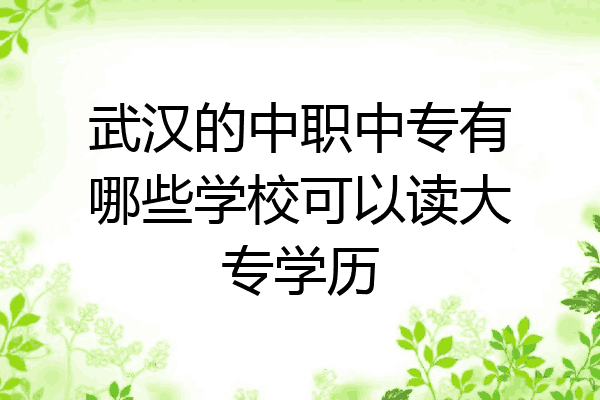 武汉的中职中专有哪些学校可以读大专学历