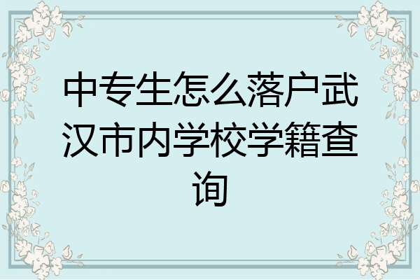 中专生怎么落户武汉市内学校学籍查询