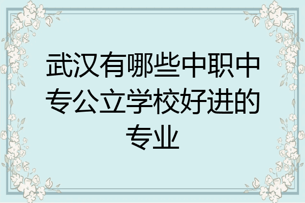 武汉有哪些中职中专公立学校好进的专业
