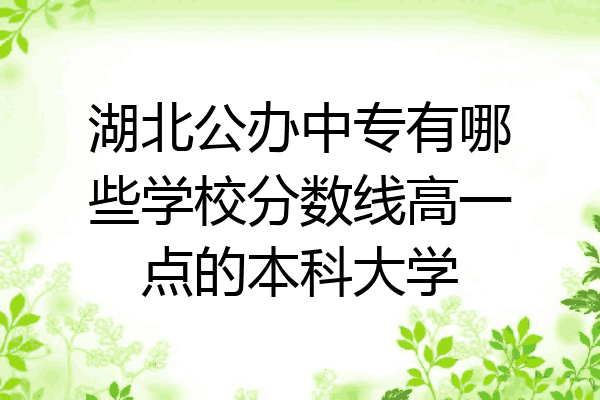 湖北公办中专有哪些学校分数线高一点的本科大学