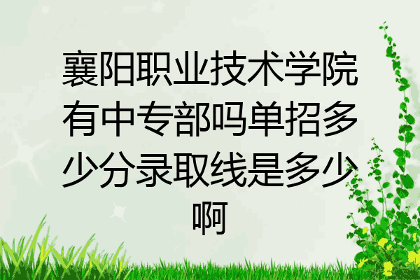 襄阳职业技术学院有中专部吗单招多少分录取线是多少啊