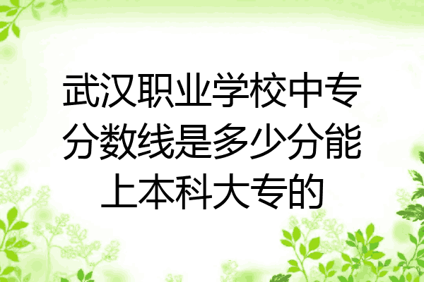 武汉职业学校中专分数线是多少分能上本科大专的