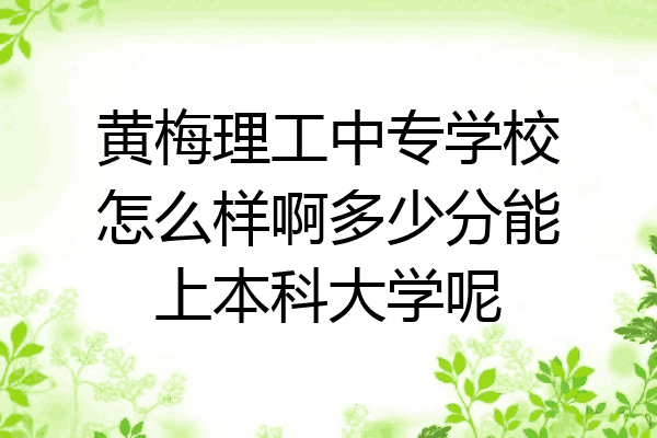 黄梅理工中专学校怎么样啊多少分能上本科大学呢