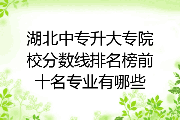 湖北中专升大专院校分数线排名榜前十名专业有哪些