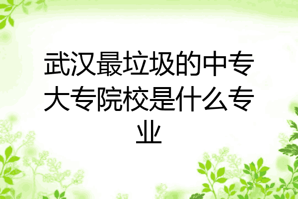 武汉最垃圾的中专大专院校是什么专业