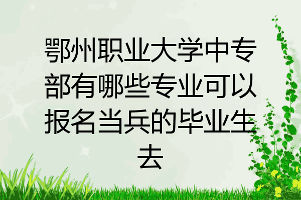 鄂州职业大学中专部有哪些专业可以报名当兵的毕业生去