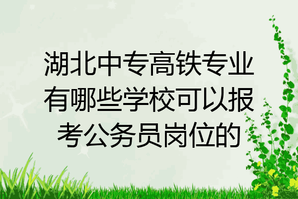 湖北中专高铁专业有哪些学校可以报考公务员岗位的