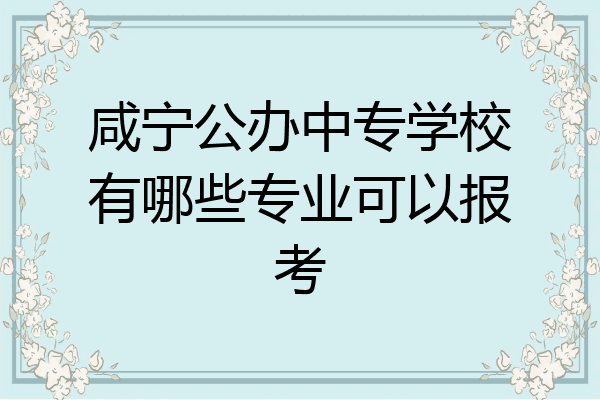咸宁公办中专学校有哪些专业可以报考