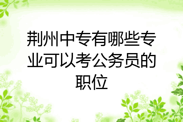 荆州中专有哪些专业可以考公务员的职位