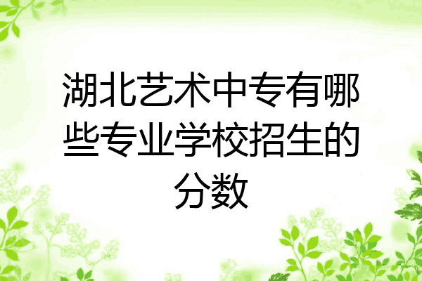 湖北艺术中专有哪些专业学校招生的分数