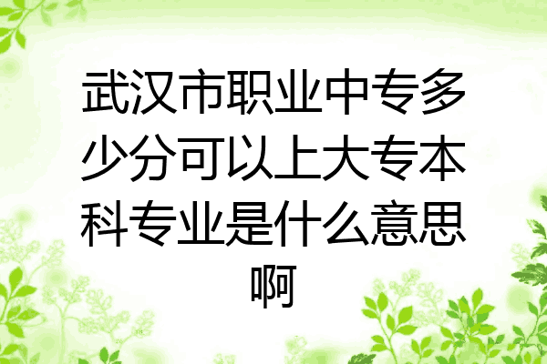 武汉市职业中专多少分可以上大专本科专业是什么意思啊
