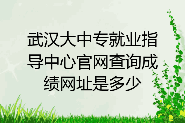 武汉大中专就业指导中心官网查询成绩网址是多少