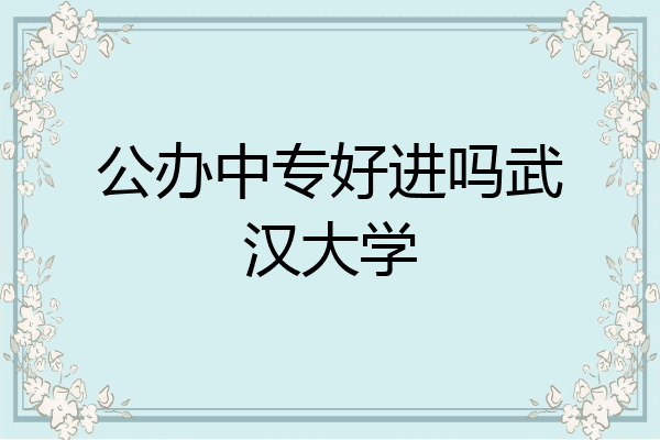 公办中专好进吗武汉大学