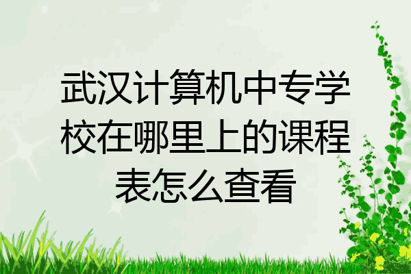 武汉计算机中专学校在哪里上的课程表怎么查看