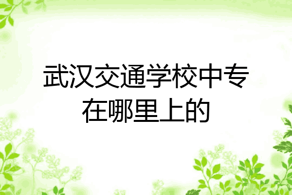 武汉交通学校中专在哪里上的