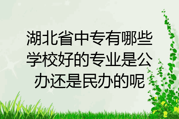 湖北省中专有哪些学校好的专业是公办还是民办的呢